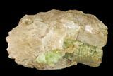 Yellow-Green Fluorapatite Crystals in Calcite - Ontario, Canada #137116-1
